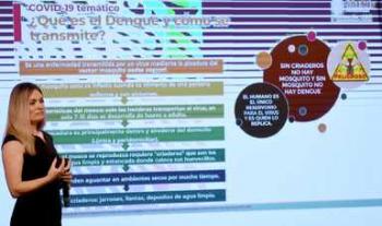 El control del dengue depende de la eliminación del mosquito transmisor de la enfermedad