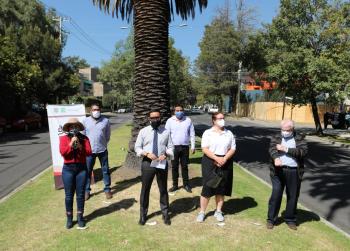 Inicia rescate de palmeras AMH