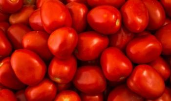 Rebasa superávit agroalimentario los nueve mil 700 millones de dólares al 3er trimestre de 2020