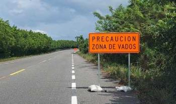 Coloca SCT señalamientos en la carretera Villahermosa-Frontera para seguridad de conductores