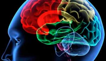 Innovador Banco de Cerebros, creado en la UNAM para diagnosticar en vida