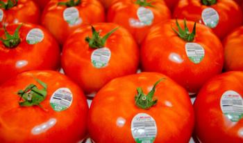 Rebasa superávit agroalimentario los 10 mil millones de dólares, a octubre 2020