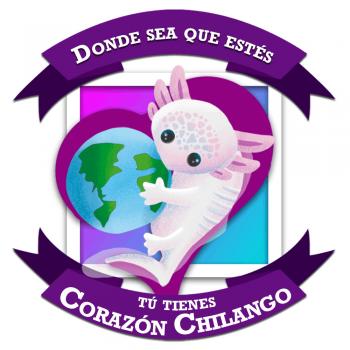 Serán válidas para Voto Chilango credenciales de elector vigentes hasta 2019 y 2020