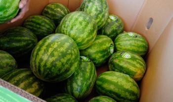 Inició Agricultura la celebración del Año Internacional de las Frutas y Verduras (AIFV) 2021