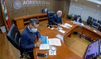 Reporta Agricultura cierre positivo en sector primario en 2020 y anuncia incremento en el número de beneficiarios este año