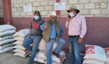 Abre Agricultura más de 500 ventanillas para el programa Fertilizantes para el Bienestar en Guerrero