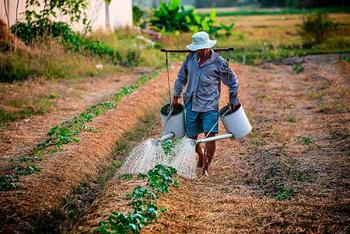 Los sistemas de producción agrícola requieren pronta transformación