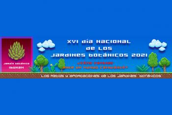 Motiva pandemia consumo de plantas como alimento y remedio casero