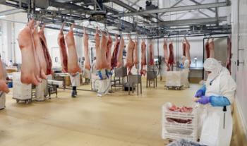 Avanzan negociaciones para exportar carne de cerdo, limón persa, guayaba y melón mexicano a Australia