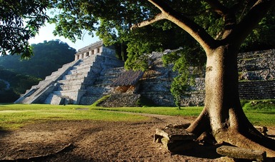 Reabre la Zona Arqueológica de Palenque, Chiapas; Tulum, Quintana Roo, permanecerá cerrada