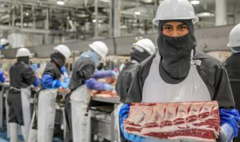 Crecen 10.5 por ciento anual las exportaciones agropecuarias y pesqueras de México en abril