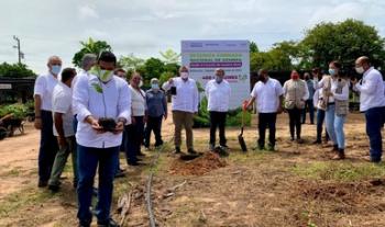 Sembrando Vida reforesta, no deforesta; inicia siembra de 429 millones de nuevos árboles