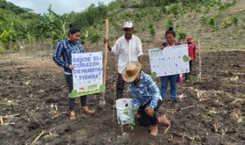 Segunda Jornada Nacional de Siembra enriquece Campeche con casi 28 millones de plantas