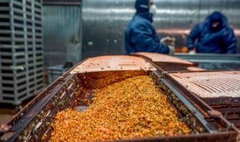 Aplica Agricultura acciones contra la mosca del Mediterráneo