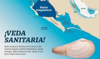 Establecen veda de moluscos bivalvos en un sector de la laguna Bahía Magdalena-Bahía Almejas, Baja California Sur