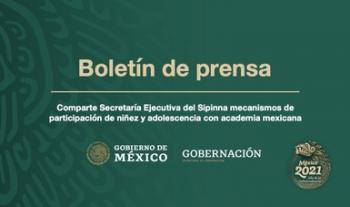 Comparte Secretaría Ejecutiva del Sipinna mecanismos de participación de niñez y adolescencia con academia mexicana