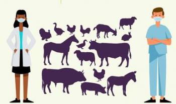 México alcanza 15 años sin registro de casos de rabia humana transmitida por perro