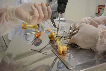 Imparte la UNAM primer Diplomado de Medicina Forense Veterinaria