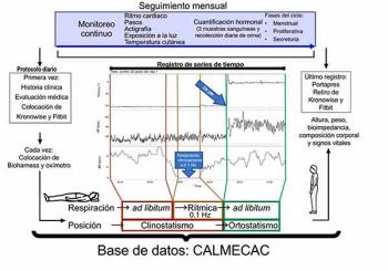 Ciclo menstrual, barrera protectora ante enfermedades