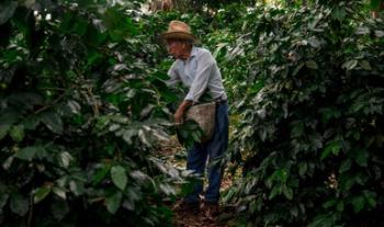México, EEUU y Canadá intercambian información para enfrentar efectos del cambio climático en la agricultura