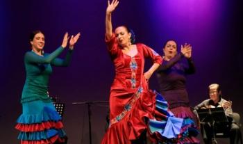 Cinco compañías participan en la Temporada de danza dedicada al flamenco en el Centro Cultural del Bosque