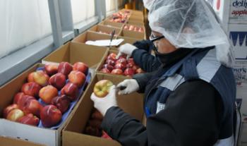 Van Senasica y productores por mayor involucramiento en tareas sanitarias y de inocuidad