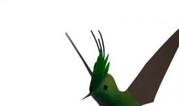 “Mundo colibrí, un regalo de las Américas”, nueva exposición que presenta el Museo Nacional de los Ferrocarriles Mexicanos