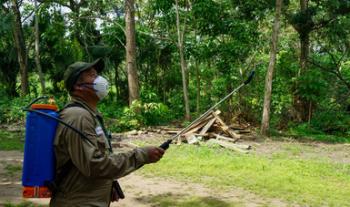 Avanza con éxito operativo contra brote de mosca del Mediterráneo en Colima