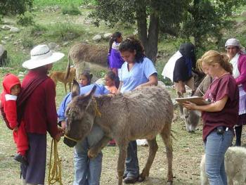 75 por ciento de enfermedades que aquejan a los humanos provienen de animales