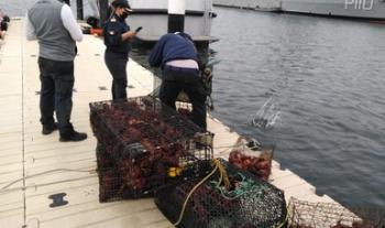 Autoridades federales continúan realizando recorridos de inspección durante veda de langosta roja en Rincón Ballenas, Ensenada, BC