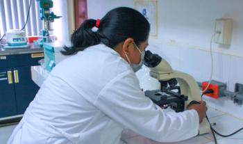 Estudia Colpos riqueza floral en producción de miel en Campeche, con alto valor comercial