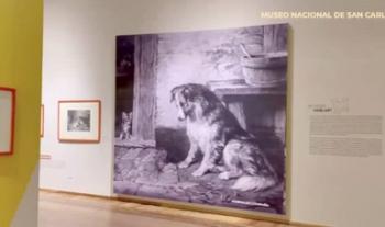 La historia que nos une. Animales de compañía en el arte, exposición en el Museo Nacional de San Carlos