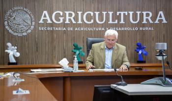Ampliarán México y Nueva Zelanda cooperación tecnológica e intercambio comercial en el sector agroalimentario