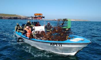 Refuerzan operaciones de inspección y vigilancia por pesca de camarón