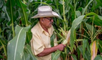 Registra Producción para el Bienestar avance del 94 por ciento en entrega de apoyos al cierre de agosto
