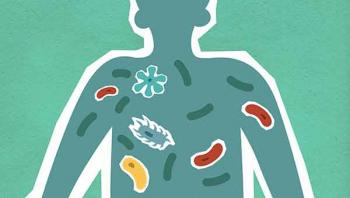 Consumo excesivo de antibióticos altera la microbiota del organismo