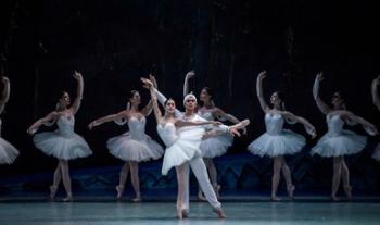 La Compañía Nacional de Danza regresa al Cenart con un Programa contemporáneo