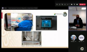 Reconoce organismo internacional a México por diagnóstico en enfermedades de los animales