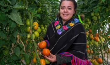 Promueven que pequeños y medianos agricultores del país amplíen comercialización de sus productos en el mercado estadounidense