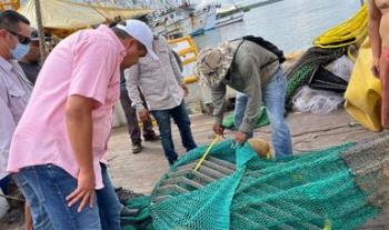 Confirman autoridades federales efectividad en prácticas de protección y conservación de las tortugas marinas