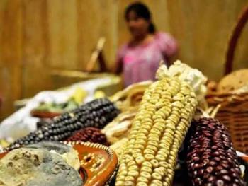 Biodiversidad en el país era más integral hace 200 años, que ahora: José Sarukhán