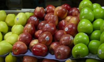 Estima Agricultura crecimiento de dos dígitos en producción nacional de manzanas al cierre del ciclo agrícola 2021