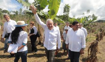 Sembrando Vida, principal generador de empleos; contribuye a contener migración: Javier May
