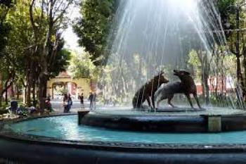 Historias en el metro - Territorio coyote