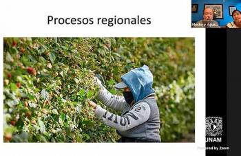 Agricultura de exportación presenta claroscuros a campesinos mexicanos