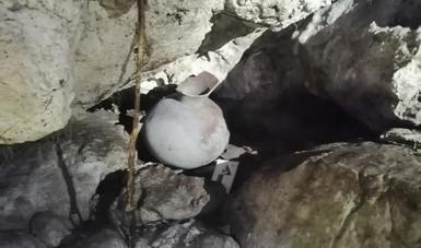 El INAH recupera tres piezas arqueológicas mayas descubiertas en una cueva de Chemuyil, Quintana Roo