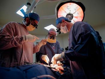 Xenotrasplantes son una opción, mientras llega un órgano humano