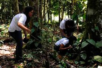 Biólogos, esenciales para garantizar la viabilidad de la especie humana