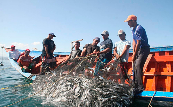 Estimulan en el mundo prácticas pesqueras más sustentables