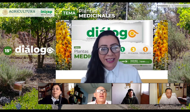 México, segundo lugar mundial en registro de plantas medicinales